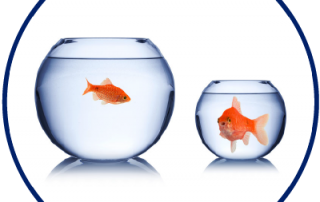 Fishbowl Circle - NJ Home Seller
